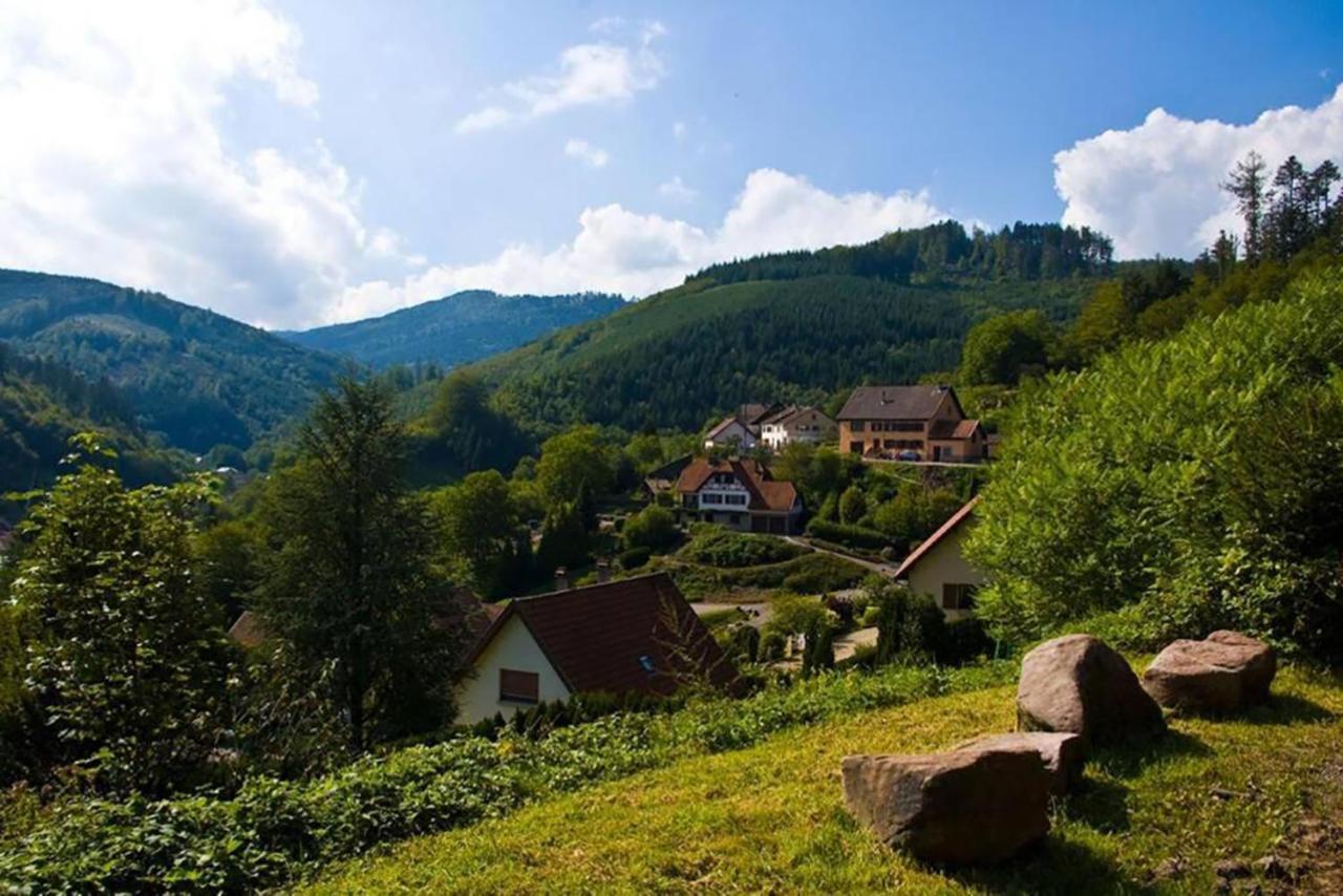 Maison Rurale En Bordure De Foret Schirmeck Exterior photo